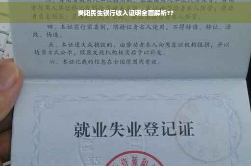 贵阳民生银行收入证明全面解析??