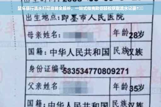 鼠年银行流水打印攻略全解析，一站式指南助你轻松获取流水记录?⚡️