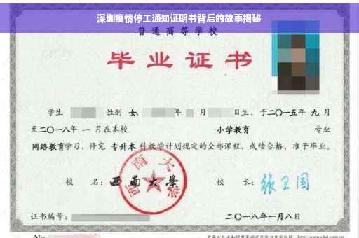 深圳疫情停工通知证明书背后的故事揭秘