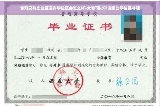 专科只有毕业证没有学位证会怎么样-大专可以申请哪些学位证书呢