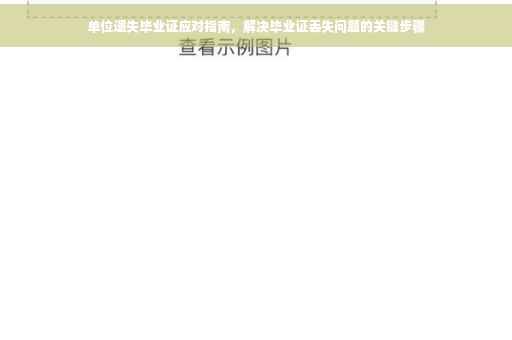 单位遗失毕业证应对指南，解决毕业证丢失问题的关键步骤