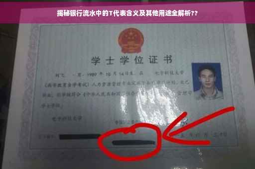揭秘银行流水中的T代表含义及其他用途全解析??