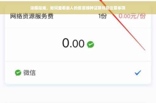 详细指南，如何查看亲人的疫苗接种证明书及注意事项
