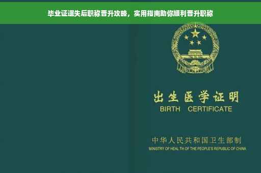 毕业证遗失后职称晋升攻略，实用指南助你顺利晋升职称