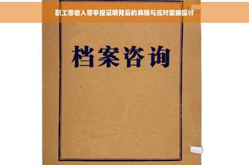职工零收入零申报证明背后的真相与应对策略探讨