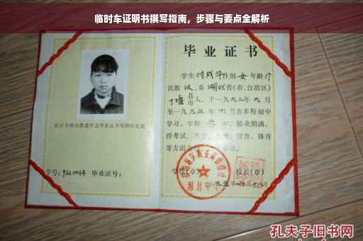 临时车证明书撰写指南，步骤与要点全解析