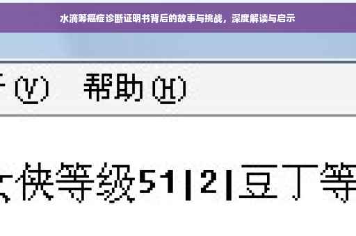 水滴筹癌症诊断证明书背后的故事与挑战，深度解读与启示