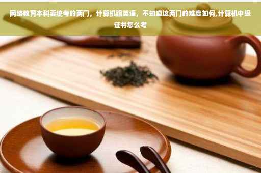 网络教育本科要统考的两门，计算机跟英语，不知道这两门的难度如何,计算机中级证书怎么考