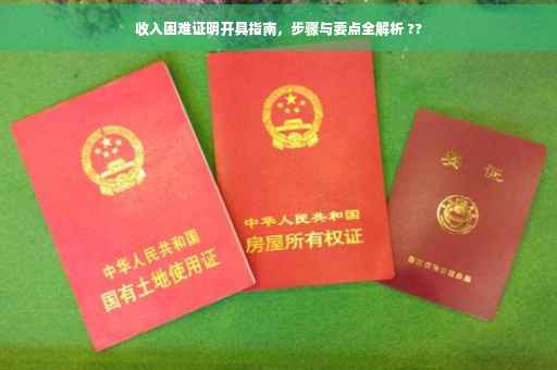 收入困难证明开具指南，步骤与要点全解析 ??