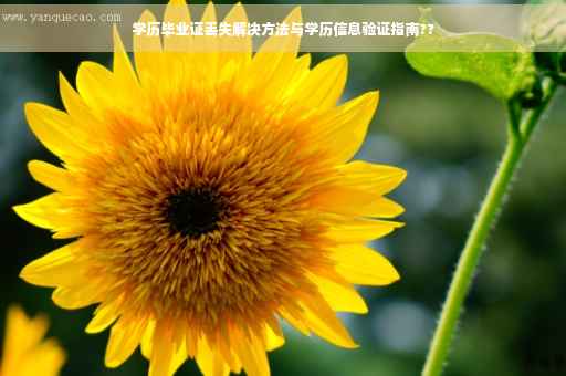 学历毕业证丢失解决方法与学历信息验证指南??