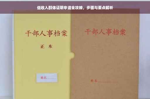 低收入群体证明申请全攻略，步骤与要点解析
