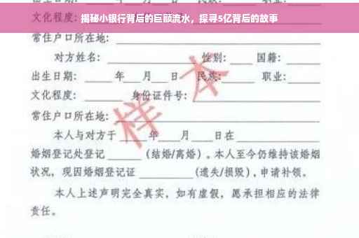 揭秘小银行背后的巨额流水，探寻5亿背后的故事