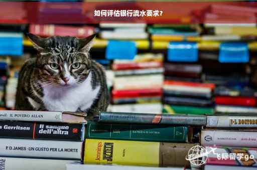 如何评估银行流水要求？