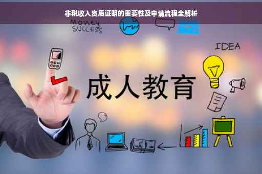 非税收入资质证明的重要性及申请流程全解析