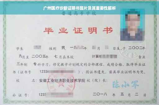 广州医疗诊断证明书图片及其重要性解析