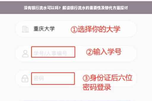 没有银行流水可以吗？解读银行流水的重要性及替代方案探讨