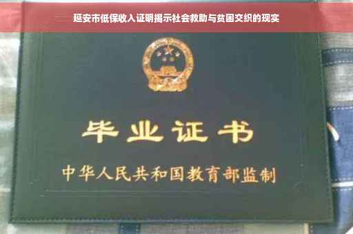 延安市低保收入证明揭示社会救助与贫困交织的现实