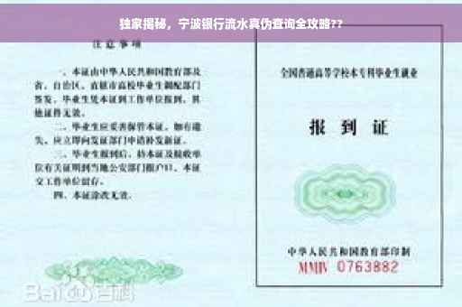 独家揭秘，宁波银行流水真伪查询全攻略??