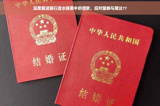 深度解读银行流水摘要中的借款，应对策略与建议??