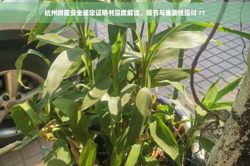 杭州房屋安全鉴定证明书深度解读，细节与重要性探讨 ??