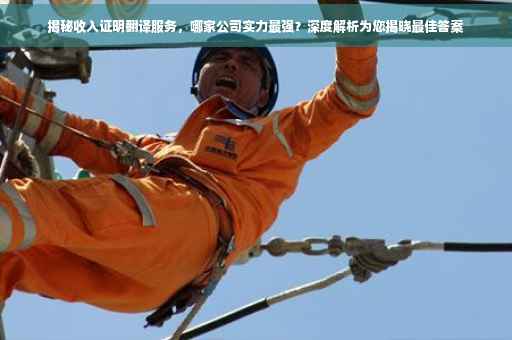 揭秘收入证明翻译服务，哪家公司实力最强？深度解析为您揭晓最佳答案
