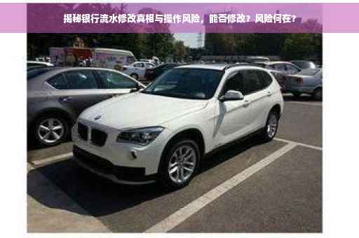 揭秘银行流水修改真相与操作风险，能否修改？风险何在？