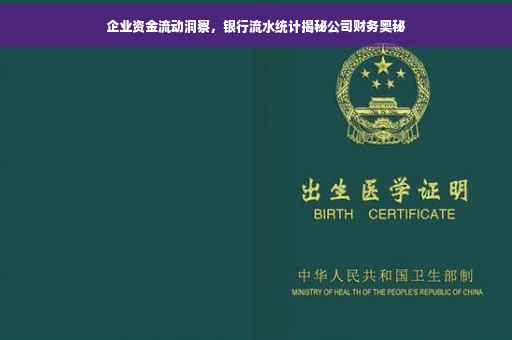 企业资金流动洞察，银行流水统计揭秘公司财务奥秘