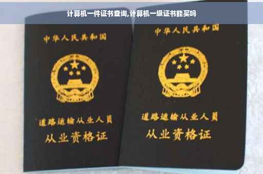 计算机一件证书查询,计算机一级证书能买吗