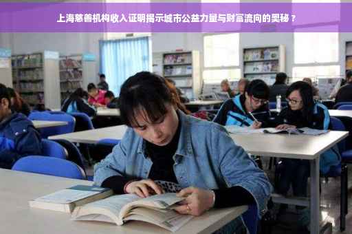 上海慈善机构收入证明揭示城市公益力量与财富流向的奥秘 ?