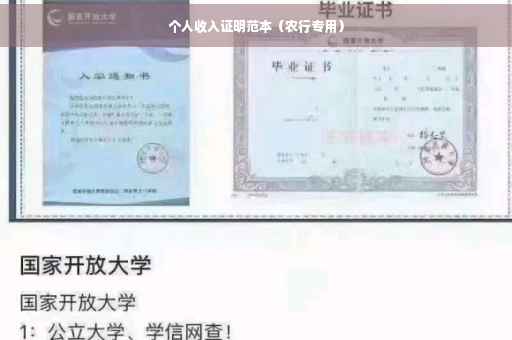 个人收入证明范本（农行专用）