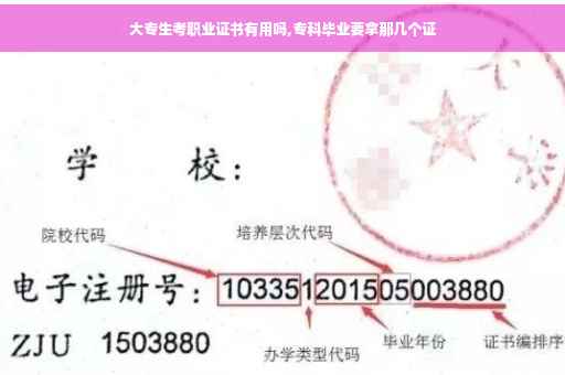 大专生考职业证书有用吗,专科毕业要拿那几个证
