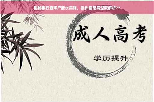揭秘银行查账户流水真相，操作指南与深度解析??