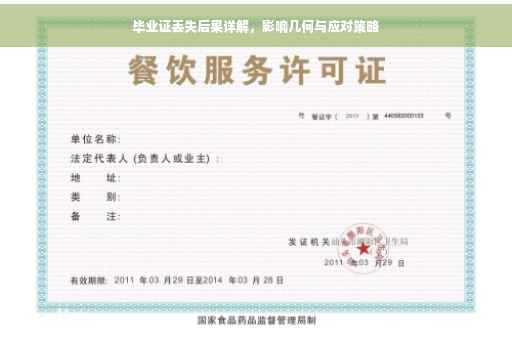 毕业证丢失后果详解，影响几何与应对策略