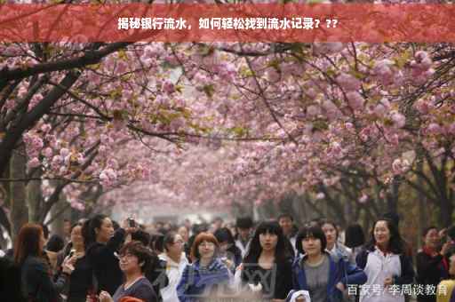 揭秘银行流水，如何轻松找到流水记录？??