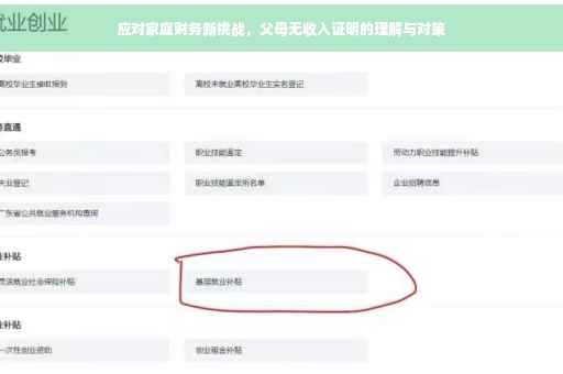 应对家庭财务新挑战，父母无收入证明的理解与对策