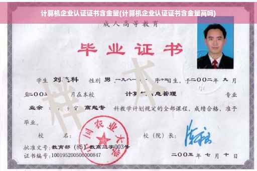 计算机企业认证证书含金量(计算机企业认证证书含金量高吗)