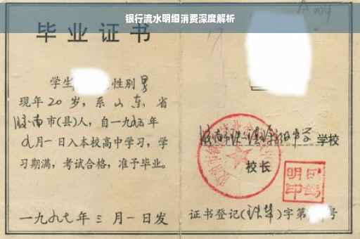银行流水明细消费深度解析