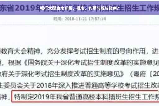 银行大额流水详解，概念、作用与解析指南?