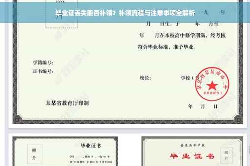 毕业证丢失能否补领？补领流程与注意事项全解析