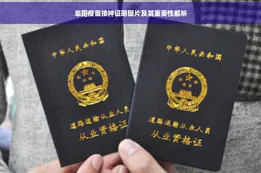 阜阳疫苗接种证明图片及其重要性解析