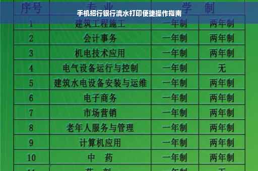 手机招行银行流水打印便捷操作指南