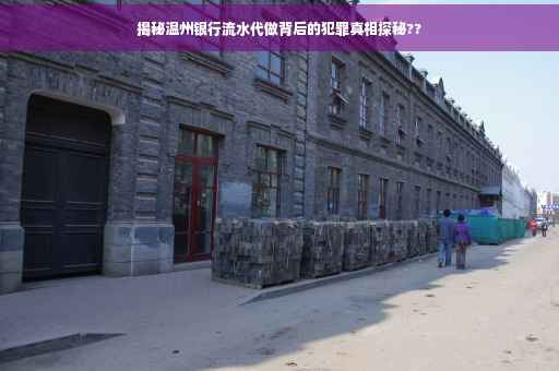 揭秘温州银行流水代做背后的犯罪真相探秘??