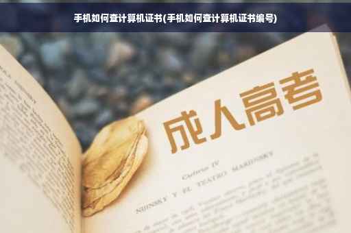 手机如何查计算机证书(手机如何查计算机证书编号)