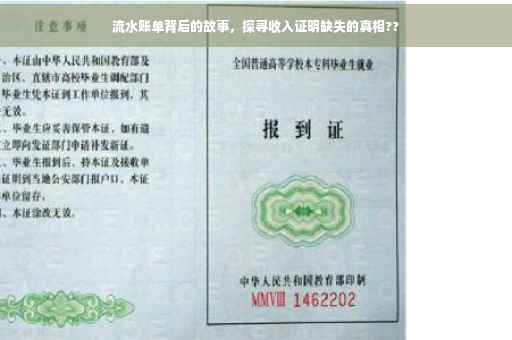 流水账单背后的故事,探寻收入证明缺失的真相?? 流水账单背后的故事,探寻收入证明缺失的真相??