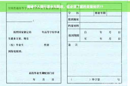 揭秘个人银行流水与税收，你必须了解的关键知识??