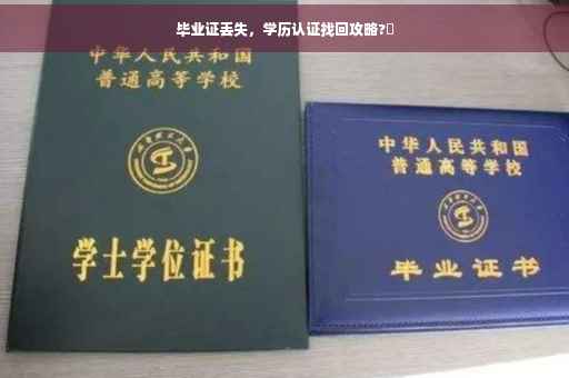 毕业证丢失，学历认证找回攻略?✨