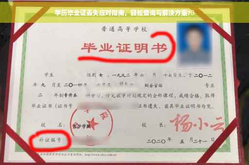 学历毕业证丢失应对指南，轻松查询与解决方案?✨