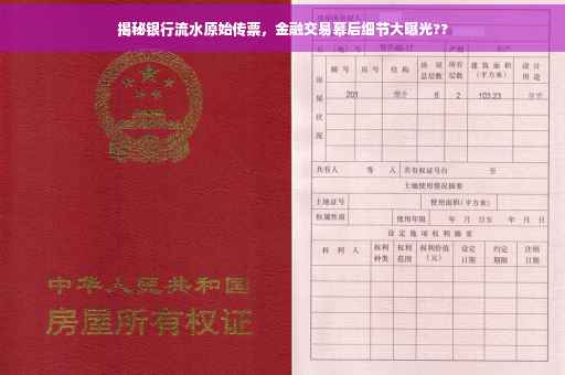 揭秘银行流水原始传票，金融交易幕后细节大曝光??