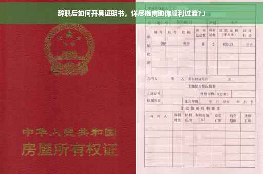 辞职后如何开具证明书，详尽指南助你顺利过渡?✨