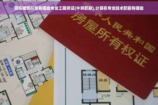 现在建筑行业有哪些专业工程师证(中级职称),计算机专业技术职称有哪些